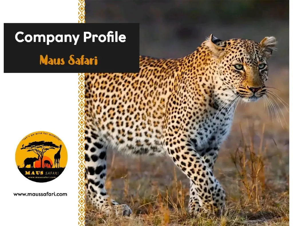 Flyer Maus Safari Company download