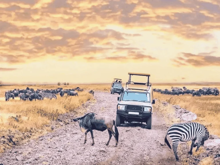 Picture Destination Serengeti National Park