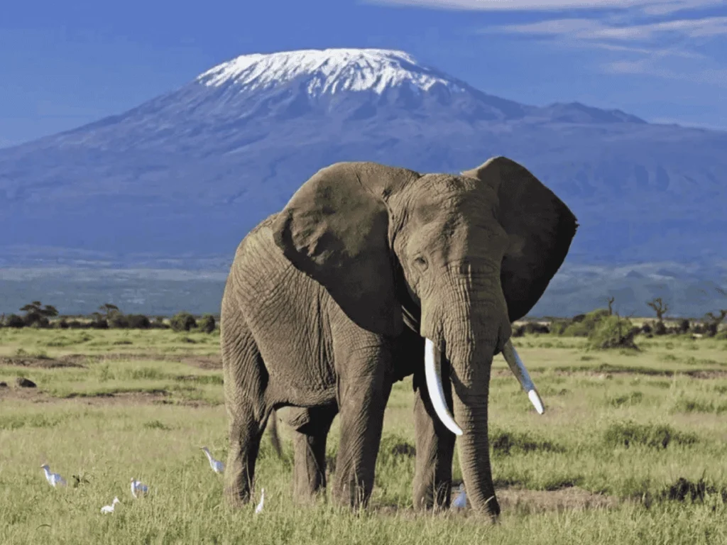 Picture Destination Kenya Startpage